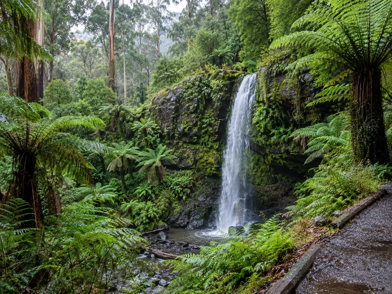 Excursión de un día a los 12 Apóstoles, los Otways y la Great Ocean Road